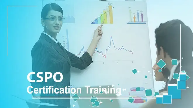 Certified Scrum Product Owner (CSPO) Training Program